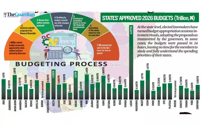 N34.63 Trillion State Budgets Passed Hastily, Raising Oversight Concerns