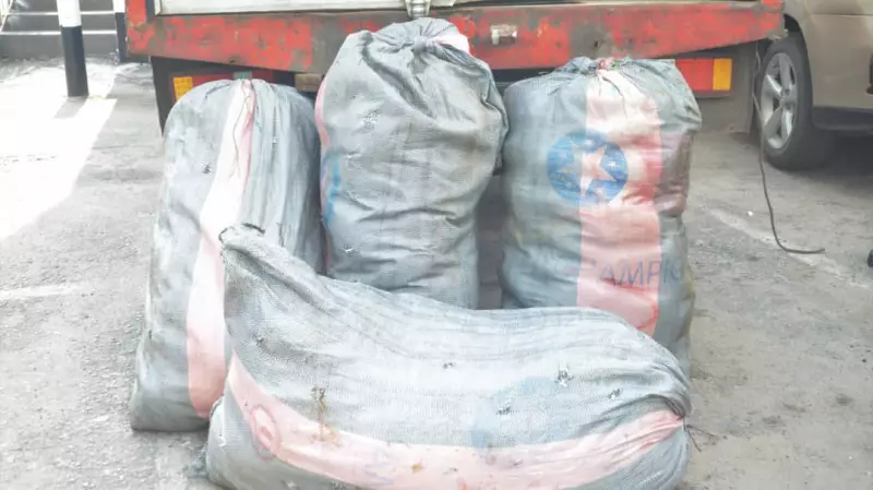 Navy Seizes 172kg of Cannabis in Lagos, Hands Over to NDLEA