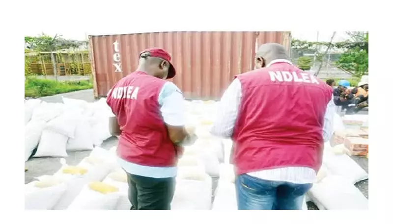 NDLEA Bust: 457kg of Cannabis Seized, Suspect Arrested in Edo