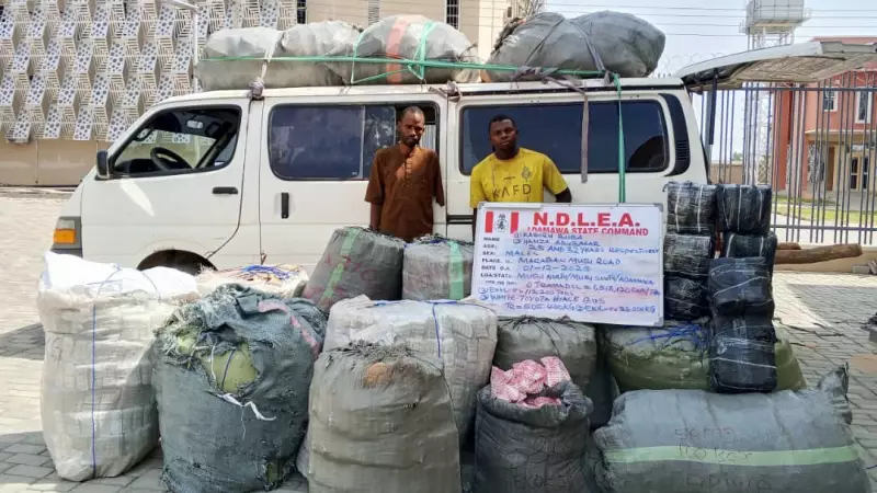 NDLEA Seizes 7.6m Tramadol Pills, 76,273kg of Cannabis in Nationwide Raids