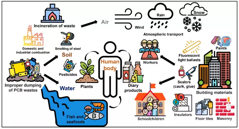 Nigeria Inaugurates Landmark PCB Treatment Centre in Abuja to Combat Chemical Pollution