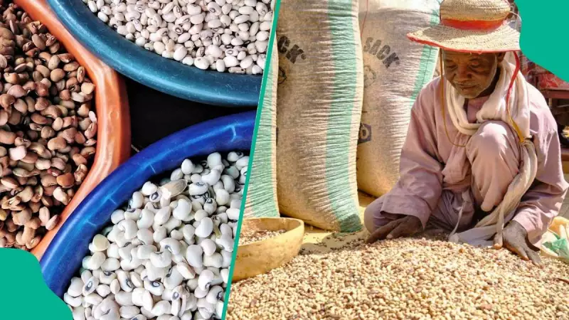 Nigeria Loses $363m Yearly to EU Beans Ban: Pesticide Crisis Exposed
