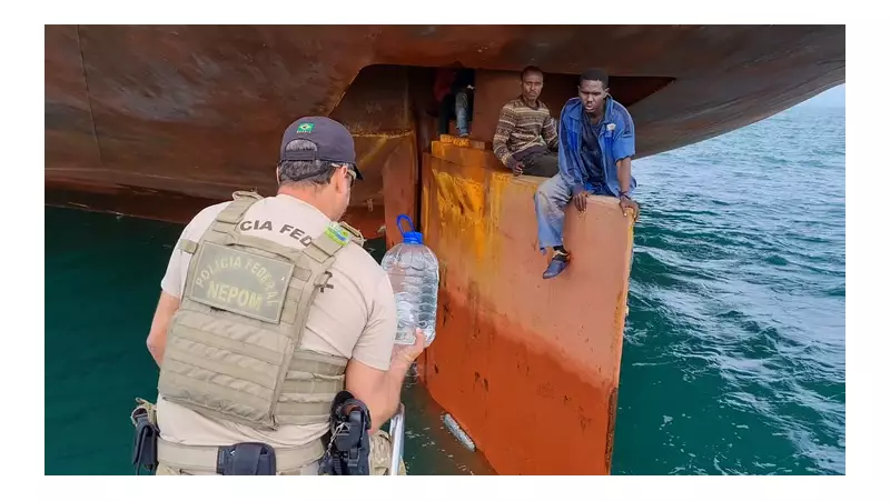 Nigeria Ports See 2,300 Stowaways Yearly, Shipping Firms Face Sanctions