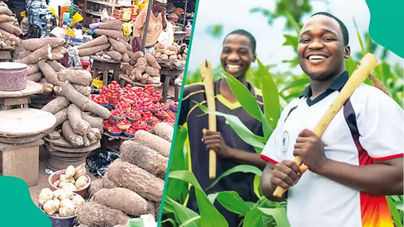 Nigeria Risks Losing Millions of Jobs by Neglecting Agriculture, Experts Warn