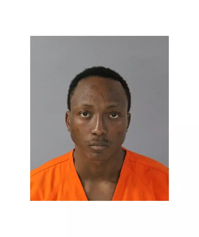 Nigerian Immigrant, 25, Pleads Guilty to Firearms Fraud in US