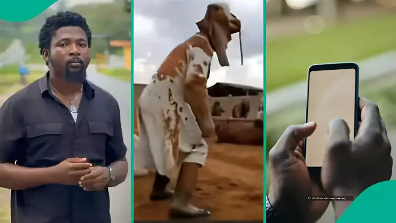 Nigerian Man's Viral TikTok: Mum's WhatsApp Group Gets AI Cow Warning