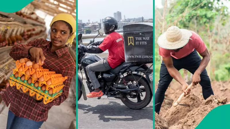 Nigeria's GDP Grows 3.98% in Q3 2025, Led by Services and Agriculture