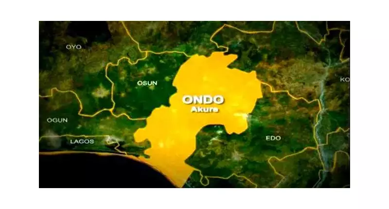 Ondo Communities Accuse Forestry Firm of Breaching CSR, Local Content Pledges
