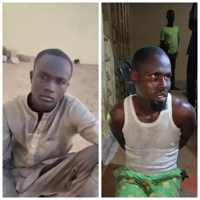 Operation Hadin Kai Nabs 2 Suicide Bombers, Disrupts Boko Haram IED Supply Chain