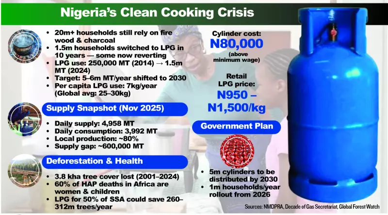 Over 20 Million Nigerian Households Still Use Firewood, Charcoal Despite Gas Push