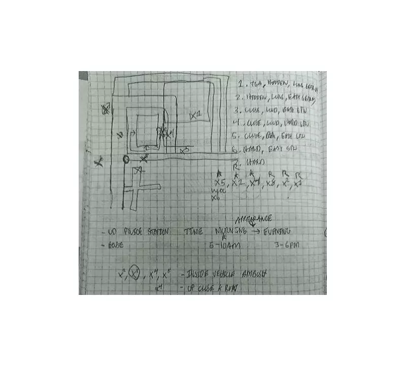 Pakistani Immigrant Arrested in US with Car Full of Guns, Planned Mass Shooting