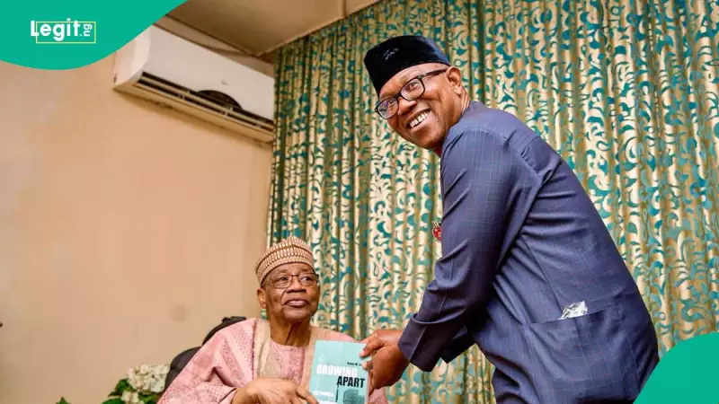 Peter Obi Meets Babangida in Niger, Reveals 3 Key Discussion Points