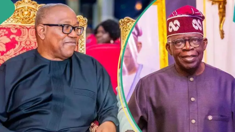 Peter Obi Slams Tinubu's Ambassadorial List, Cites 'Shocking' Nominees and Mediocrity