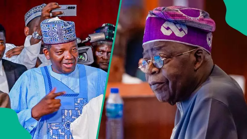 Pressure Mounts: Analyst Urges Tinubu to Sack Matawalle, Names 2 Replacements