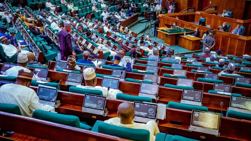 Reps Launch Probe Into Nigeria's Foreign Treaties, Contracts Over Sovereignty Fears