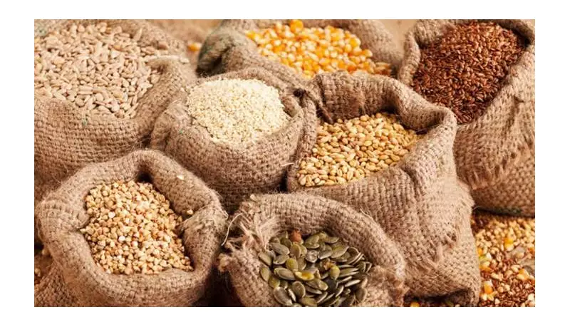 SEEDAN Praises Tinubu's N50bn Seed Fund, Hails Milestones for Nigeria's Agriculture