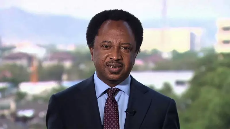 Shehu Sani Calls for Experienced Hand as Tinubu Nominates New Defence Minister