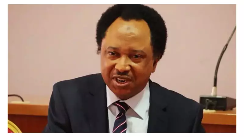 Shehu Sani Credits Nigerian Forces, Not US Strike, for Peaceful Christmas