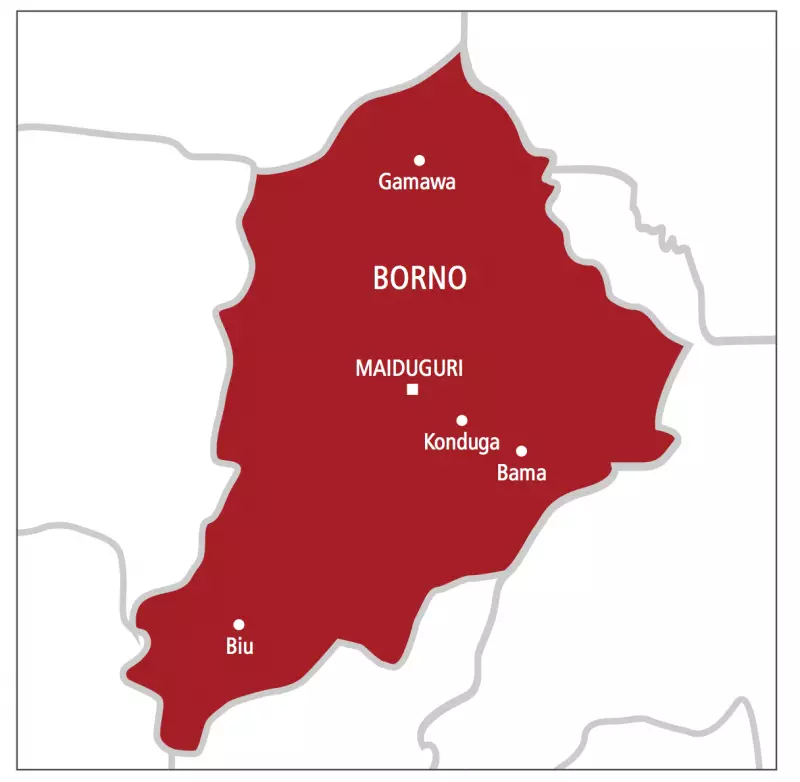 Suicide Bomber Kills 5 Soldiers at Borno Checkpoint