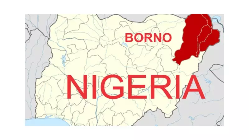 Suicide Bomber Kills 5 Soldiers in Borno Near Cameroon Border