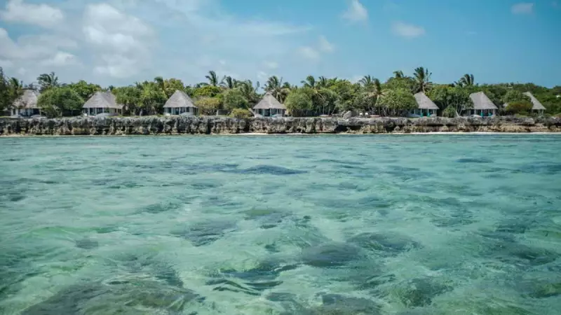 Tanzania Tourism Hit by Election Violence: Over 1,000 Killed, Bookings Canceled