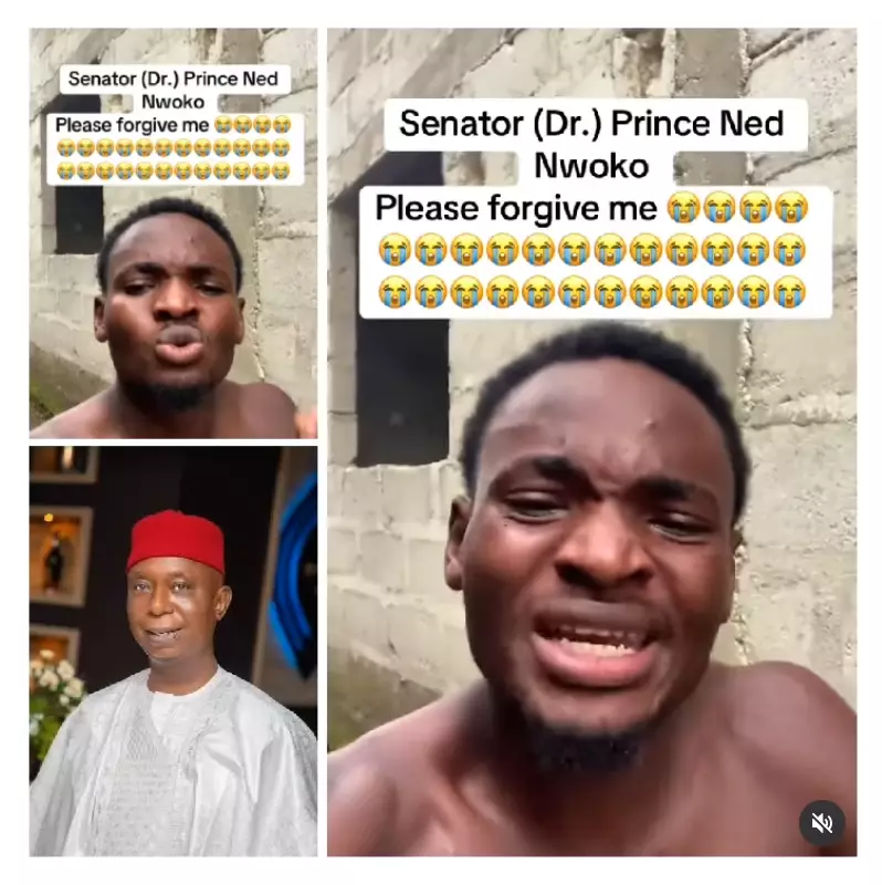 TikToker Breaks Down, Apologizes to Ned Nwoko Over Regina Daniels 'Kill' Plot Claim