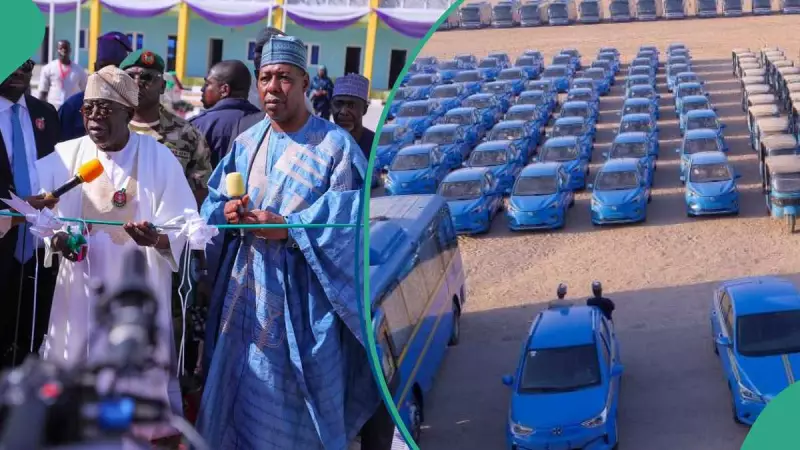 Tinubu Commissions 3,620 Electric Vehicles, Mega Schools in Borno