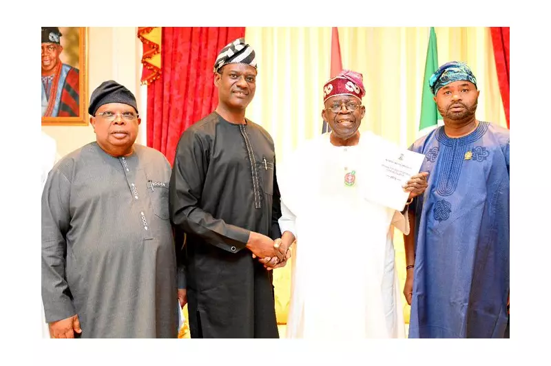 Tinubu Stands Firm: New Tax Laws to Start January 1, 2026 Despite Public Objections