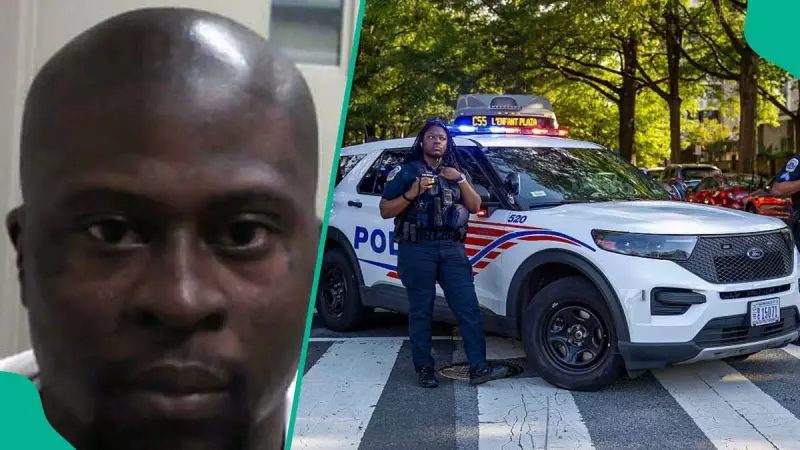 US to Deport Ex-Bloods Gang Member to Nigeria Over 6 Criminal Convictions