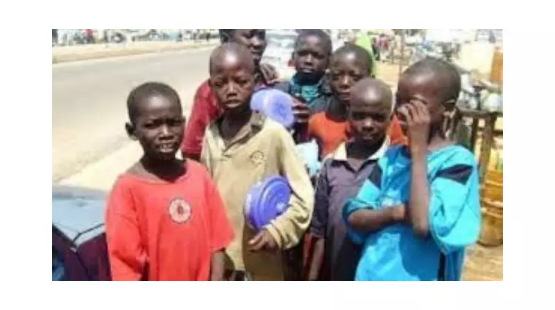 Yobe Monarch: Enroll Out-of-School Children to End Farmer-Herder Clashes