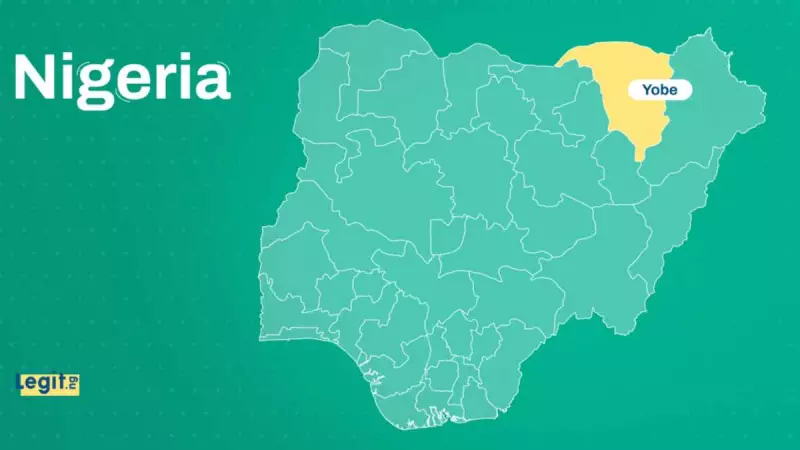 Yobe Water Crisis: Heavy Metals Linked to Kidney Disease in Gashua