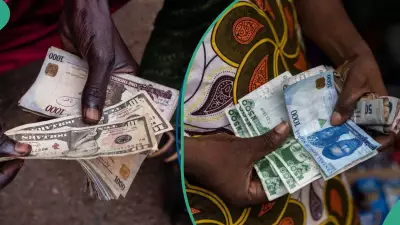 Naira Opens Strong in Final Week of 2025, Gains Against Dollar in Official and Parallel Markets