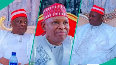NNPP Crisis: Kano Ward Executives Expel State Chairman Over Misconduct