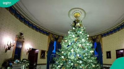 White House Unveils Trump's 2025 Christmas Portrait and 'Home is Where the Heart Is' Decor