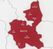 20-Year-Old Dies After Fight at Bauchi Naming Ceremony