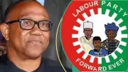 2027 Election: Peter Obi Considers Labour Party Exit Amid Leadership Crisis