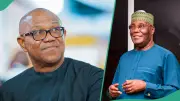 2027 Election: Peter Obi Exits Labour Party for ADC, Set for Ticket Battle with Atiku