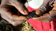 80% of Girls Still Face FGM in Kenyan Region Despite 2011 Ban
