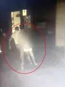 Brazilian Blogger, 25, Dies After Husband Throws Her From 10th-Floor Balcony