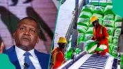 Dangote Targets Global Fertiliser Dominance: Nigeria to Lead by 2028