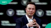 Elon Musk Hits $648bn Wealth Record as Nigerian Billionaires Dangote, Rabiu Rise