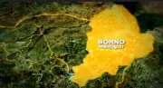 IED Blast Kills 4 Children in Borno, Injures 12-Year-Old Boy
