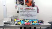 NDLEA Busts Drug Syndicate Hiding Cannabis in Christmas Cookies