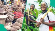 Nigeria Risks Losing Millions of Jobs by Neglecting Agriculture, Experts Warn