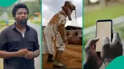 Nigerian Man's Viral TikTok: Mum's WhatsApp Group Gets AI Cow Warning