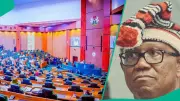 Peter Obi Condemns Reps for Rejecting Vote-Buying Bill, Warns of Democracy Threat