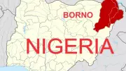 Suicide Bomber Kills 5 Soldiers in Borno Near Cameroon Border