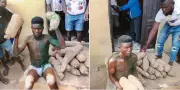 Suspected Yam Thief Nabbed at Benue's Zaki Biam Market, Traders Call for Calm