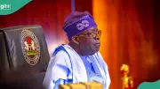 Tinubu Appoints New Leaders for UBEC, Bank of Agriculture, NADF Boards