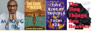 Top Nigerian Books of 2025: Must-Read Novels Before Year End